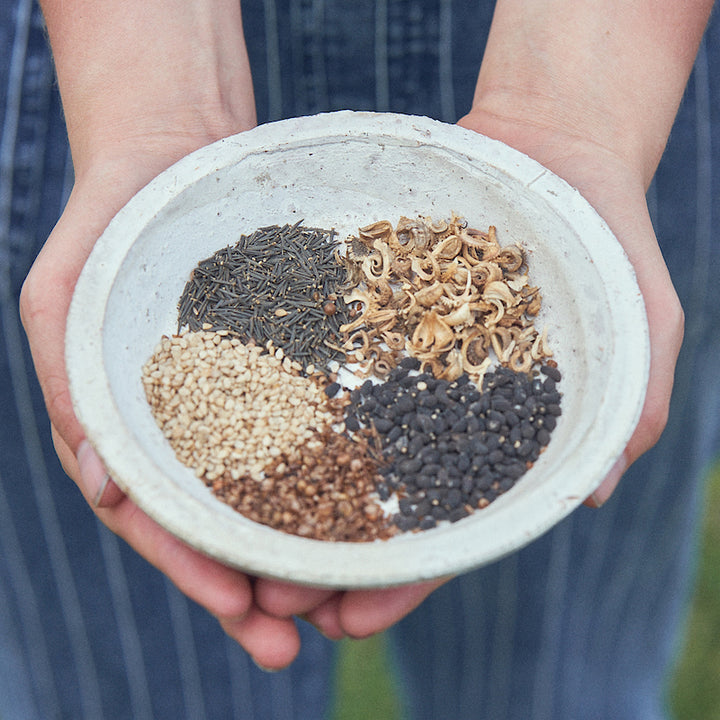 Meet Our Upcycled & Sustainable Ingredients