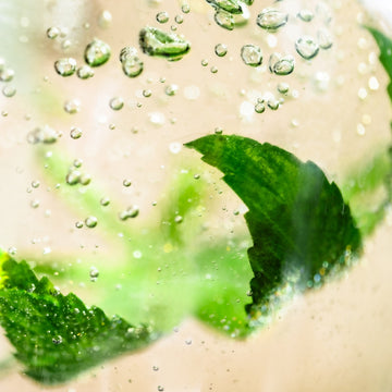 Hemp Body Oil Botanical