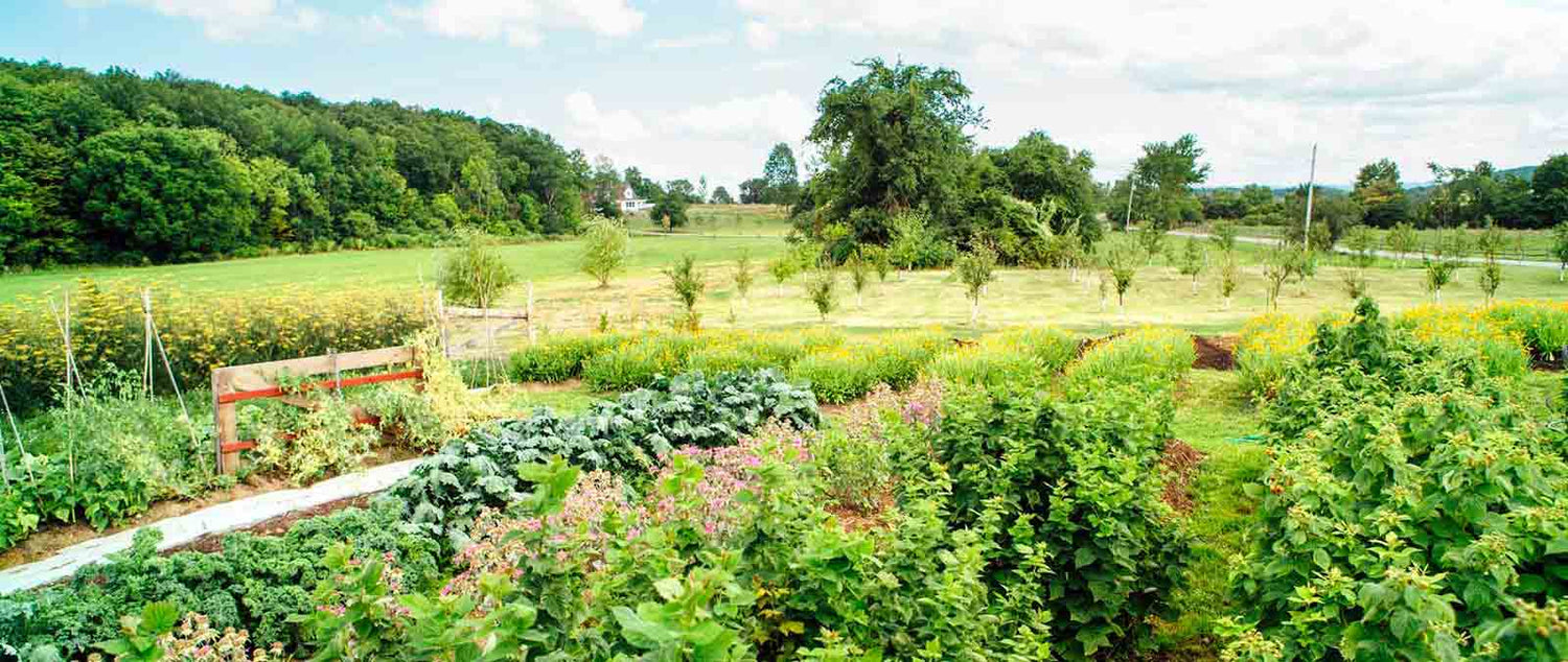 THS Vermont Farm