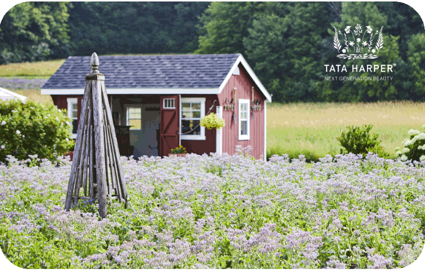 Tata Harper e-Gift Card