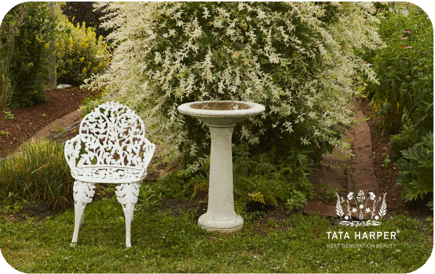 Tata Harper e-Gift Card