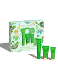 Brighten Up Essentials Set