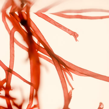 Tata Harper Skincare