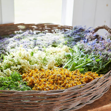 Dried Flowers in Basket
