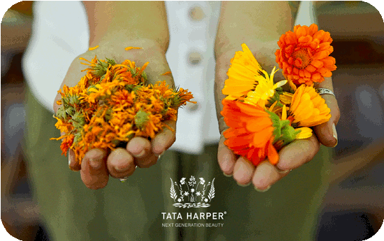 Tata Harper e-Gift Card
