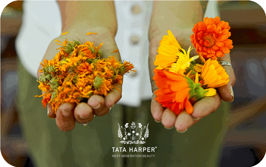 Tata Harper e-Gift Card